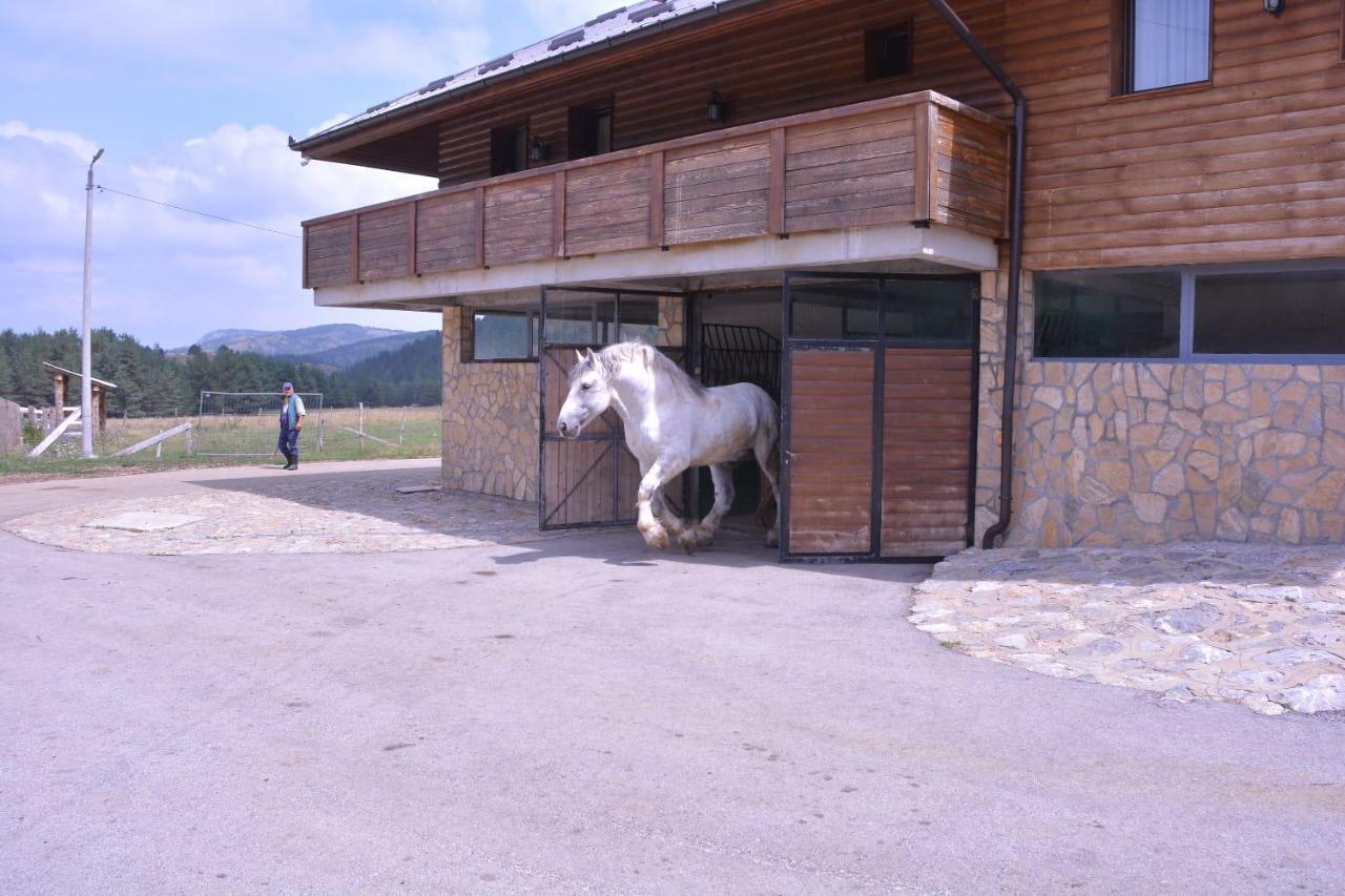 Hotel Borovi Forest Resort & Spa Sjenica Dış mekan fotoğraf