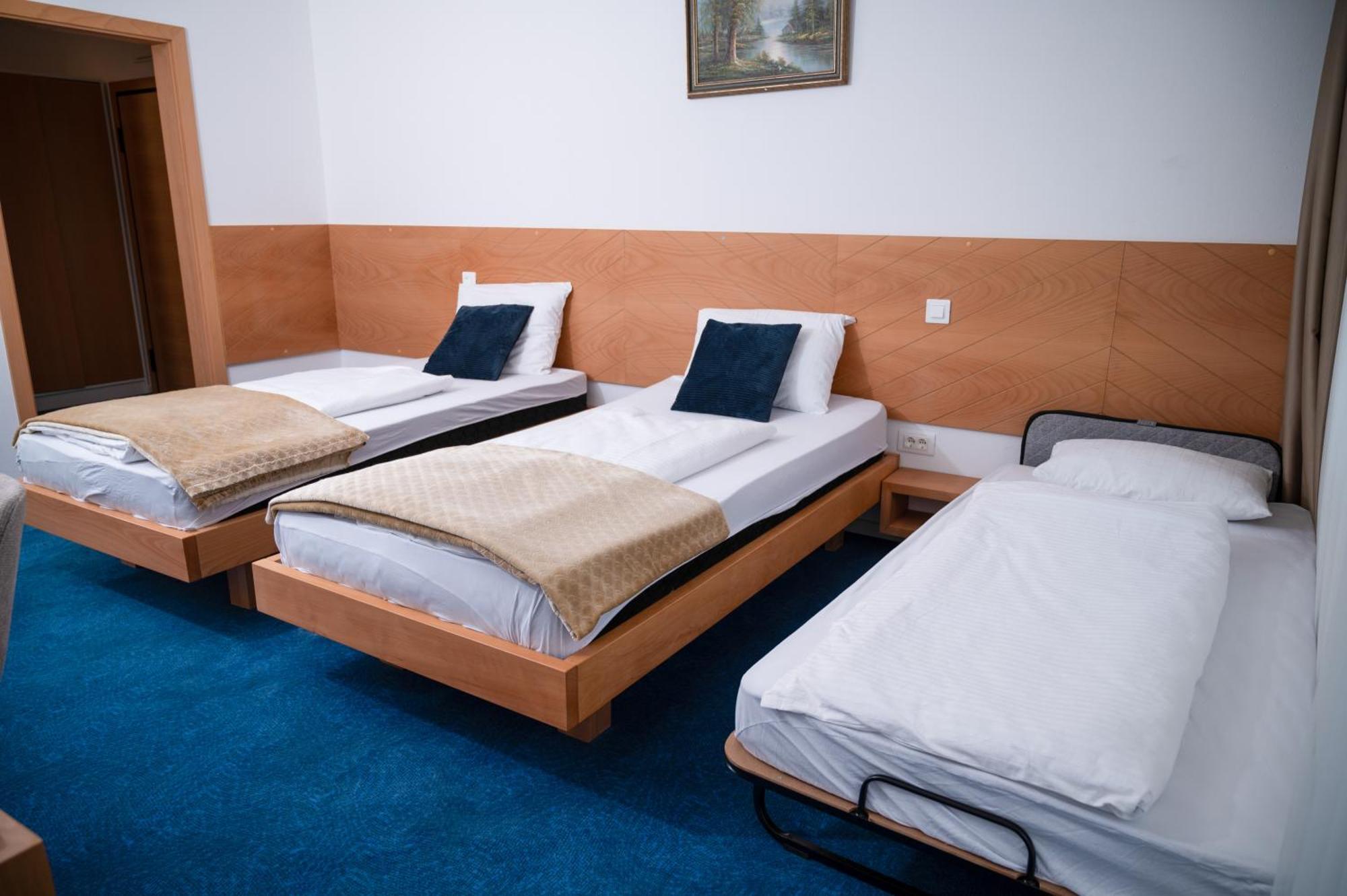 Hotel Borovi Forest Resort & Spa Sjenica Dış mekan fotoğraf
